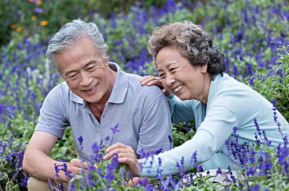 居家养老项目实施方案-约90%老年人居家养老！